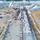 Sacramento Weir Widening Project