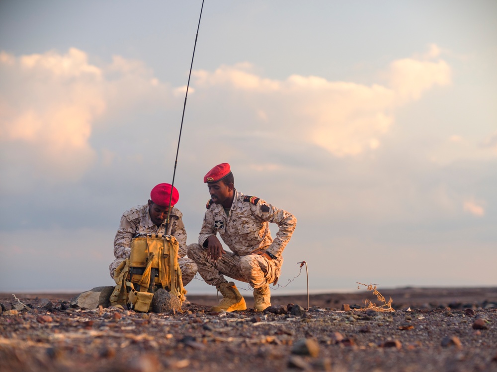 Bull Shark 25-1: Multinational Exercise Strengthens Regional Security and Collaboration