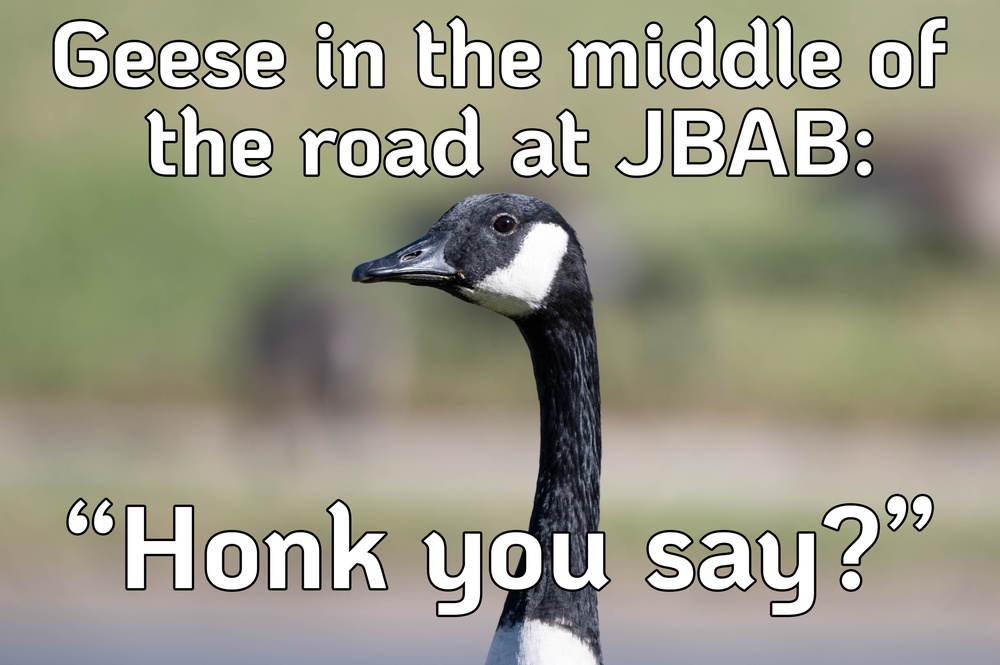 JBAB Road Safety