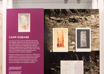 Camp Disease Exhibit