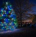 Team Dover starts the holiday season with annual tree-lighting ceremony