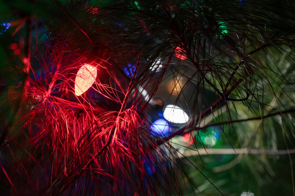 Team Dover starts the holiday season with annual tree-lighting ceremony
