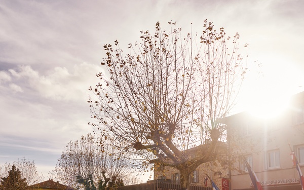 2nd MAW Band Commemorates 80th Anniversary of the Liberation of France