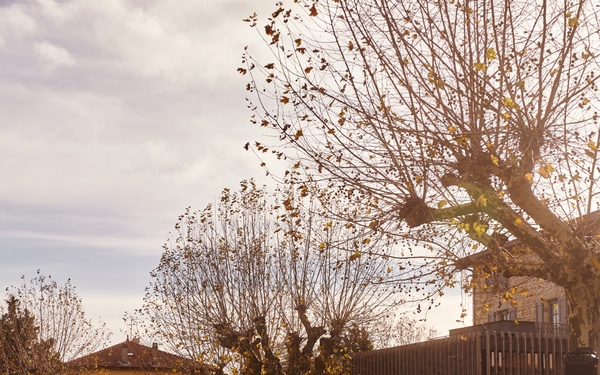 2nd MAW Band Commemorates 80th Anniversary of the Liberation of France