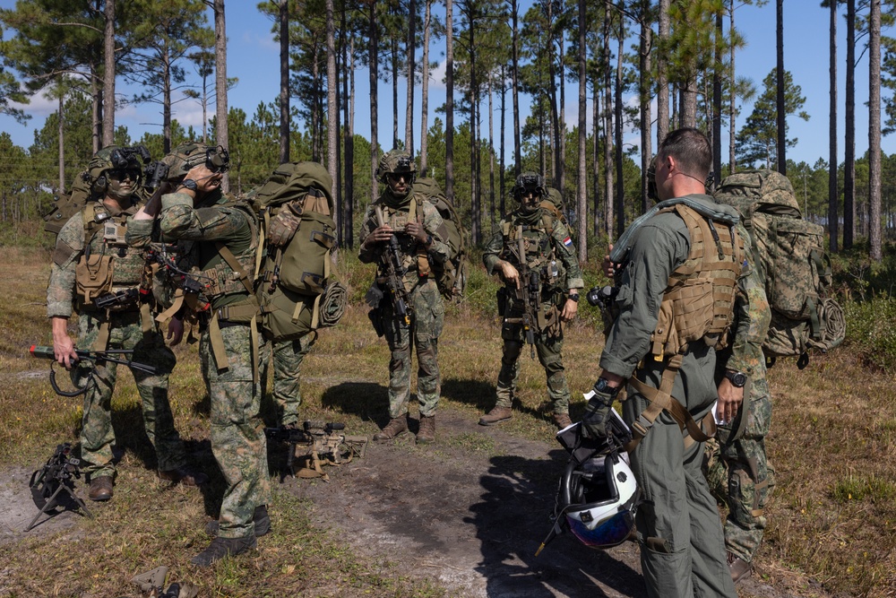 U.S. Marines with VMM-263 work alongside Royal Netherlands Army during Bold Quest 24