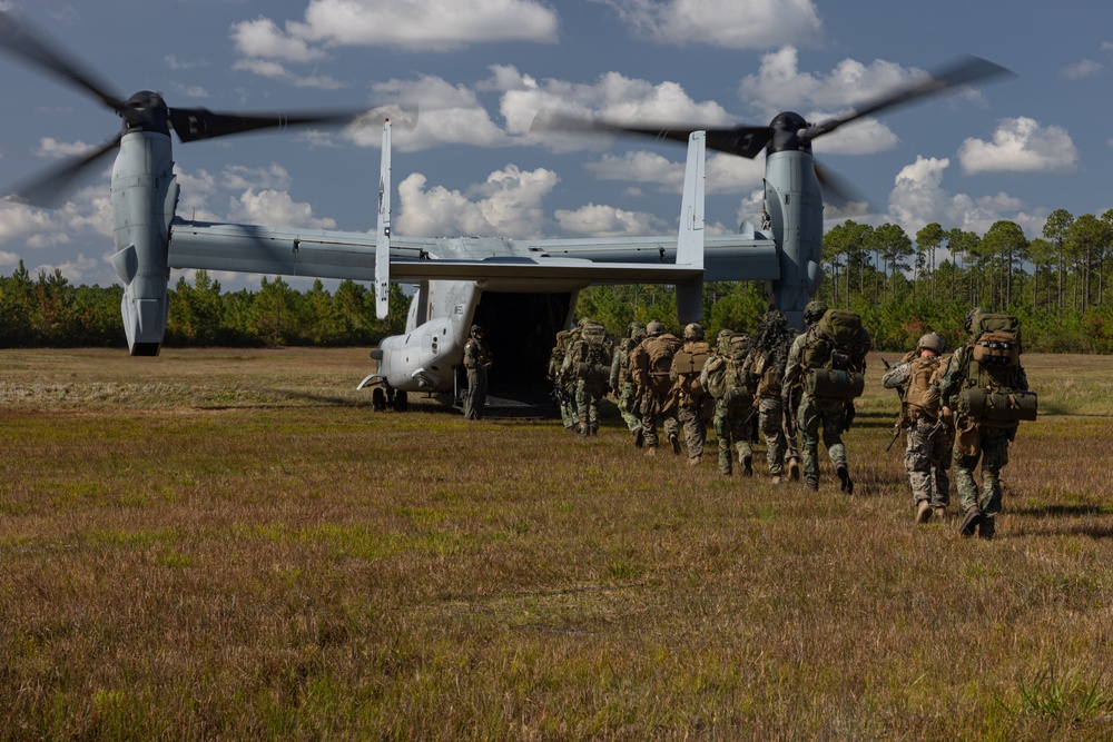 U.S. Marines with VMM-263 work alongside Royal Netherlands Army during Bold Quest 24