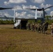 U.S. Marines with VMM-263 work alongside Royal Netherlands Army during Bold Quest 24