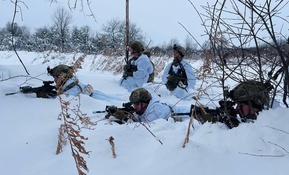 Commando Brigade Leaders Execute Cold Weather Training