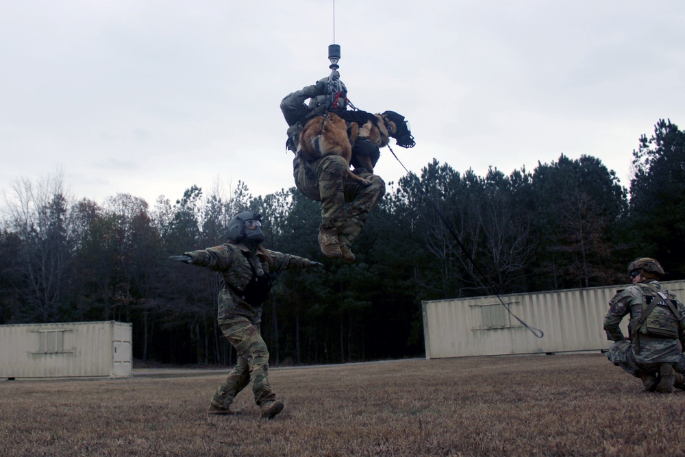 Fort Gregg-Adams hosts Military Working Dog training