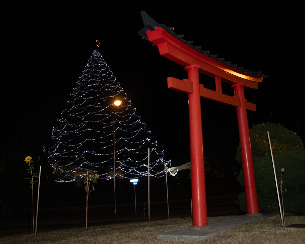 Christmas Tree Lighting