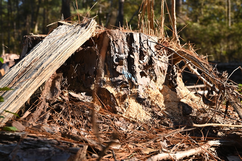 Timber Management for Habitat Management