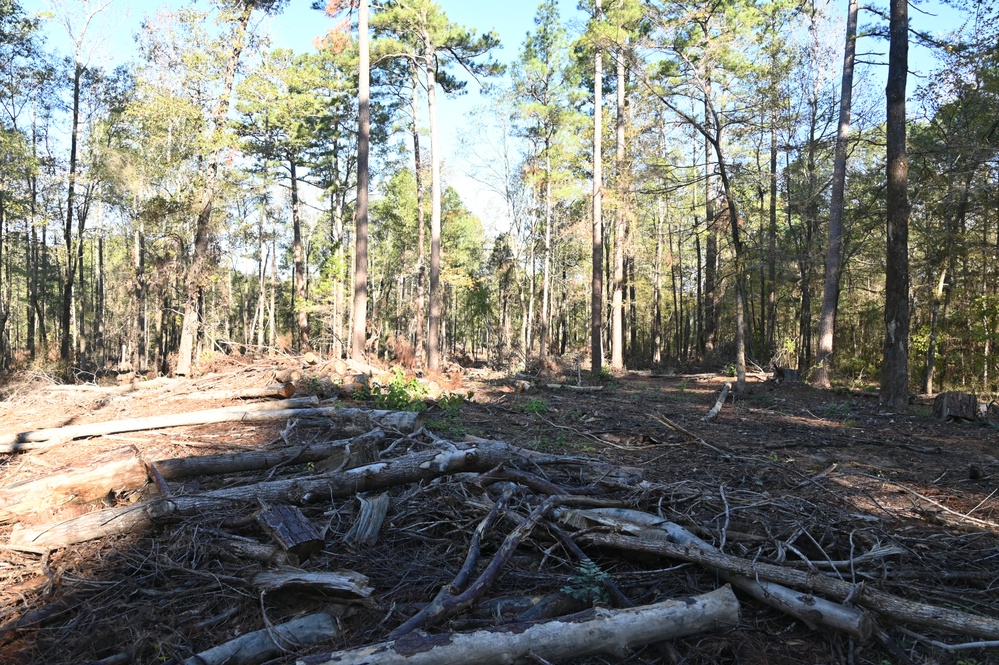 Timber Management for Habitat Management