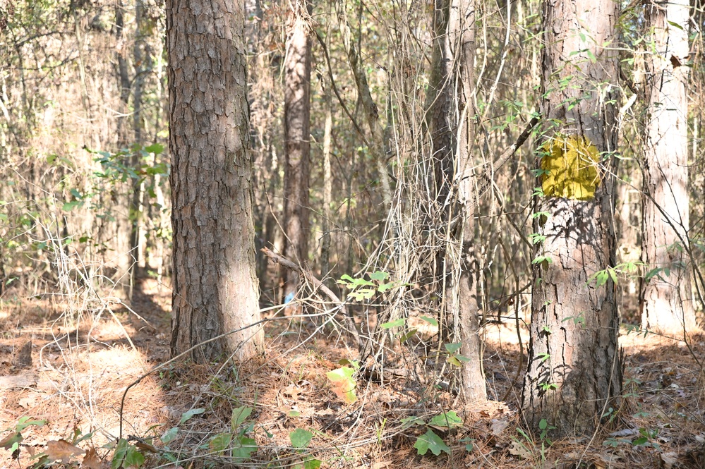 Timber Management for Habitat Management