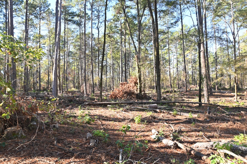 Timber Management for Habitat Management