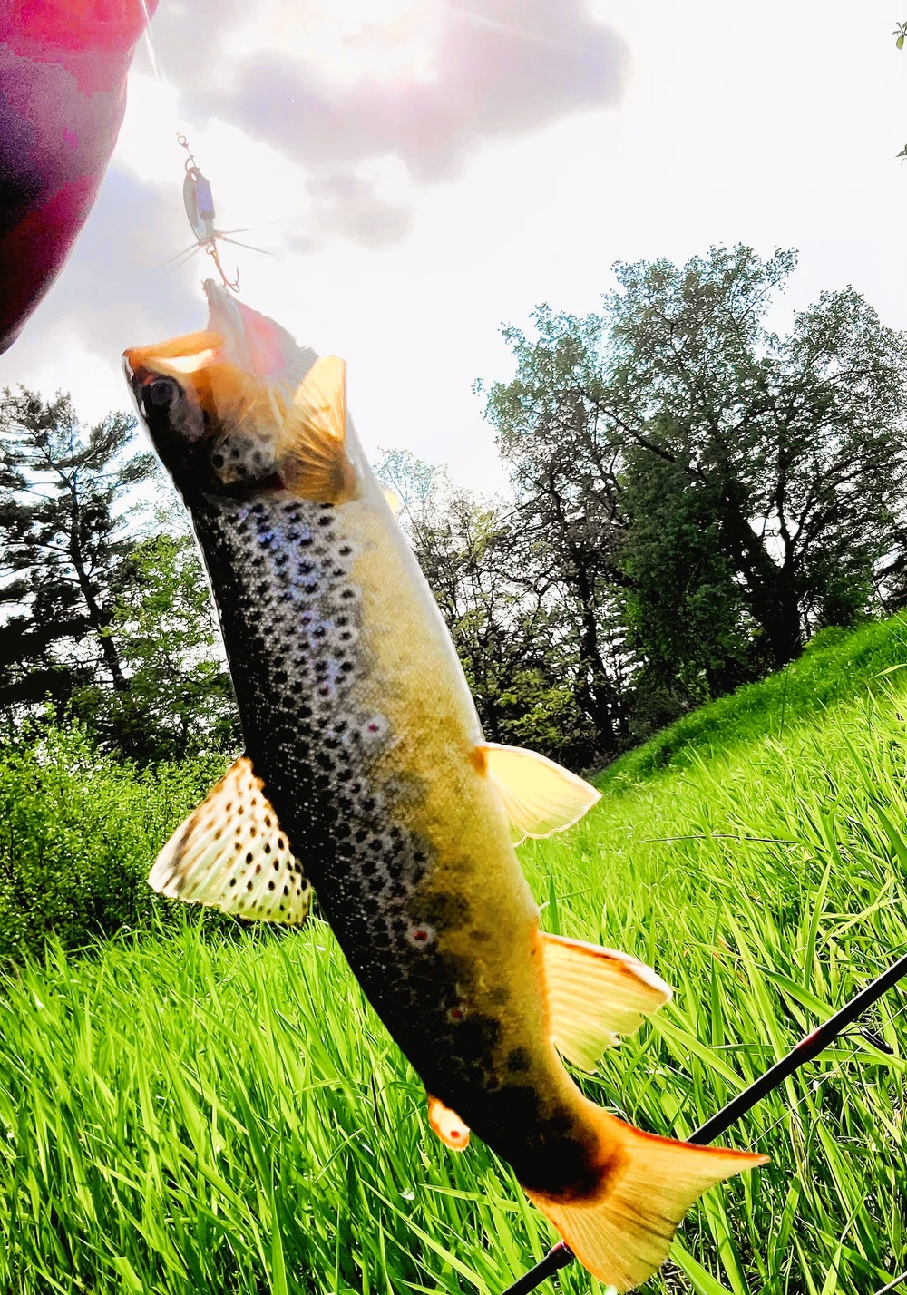 2025 early catch, release trout season opens Jan. 6 in Wisconsin, Fort McCoy