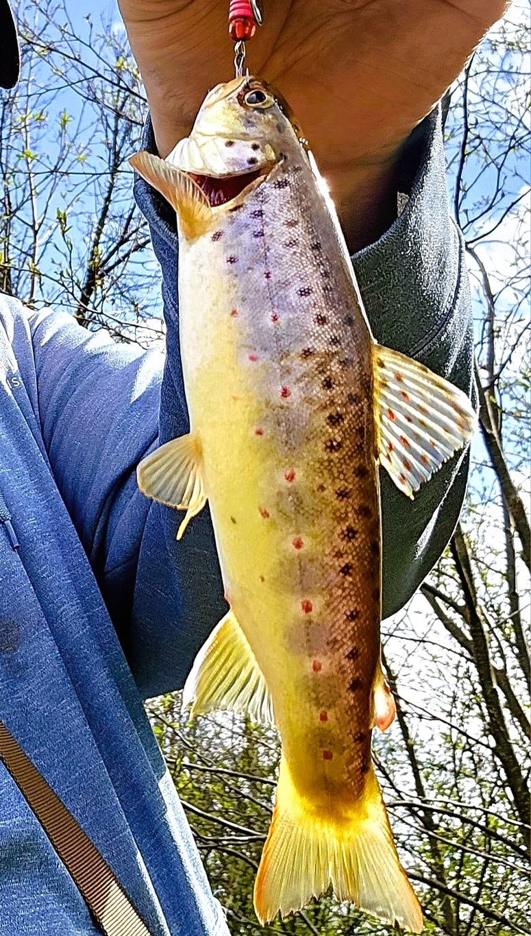 2025 early catch, release trout season opens Jan. 6 in Wisconsin, Fort McCoy