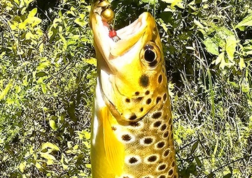 2025 early catch, release trout season opens Jan. 6 in Wisconsin, Fort McCoy