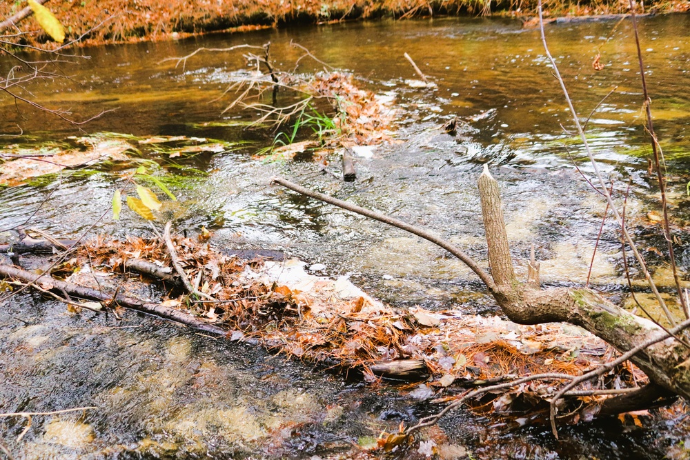 2025 early catch, release trout season opens Jan. 6 in Wisconsin, Fort McCoy