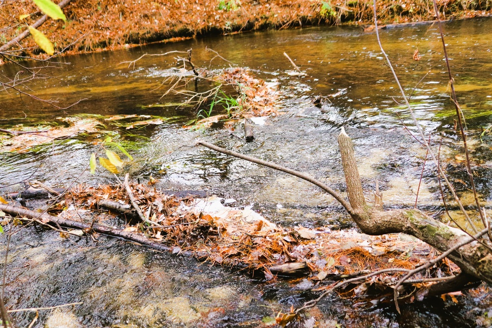 2025 early catch, release trout season opens Jan. 6 in Wisconsin, Fort McCoy