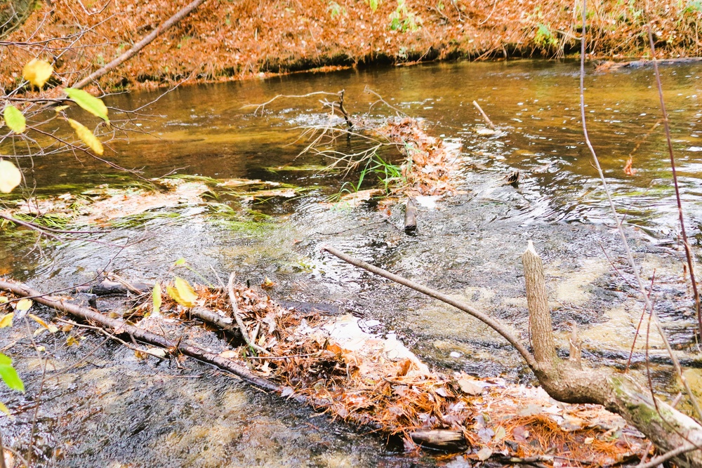 2025 early catch, release trout season opens Jan. 6 in Wisconsin, Fort McCoy