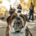 Marine Corps Band San Diego performs at CSUN