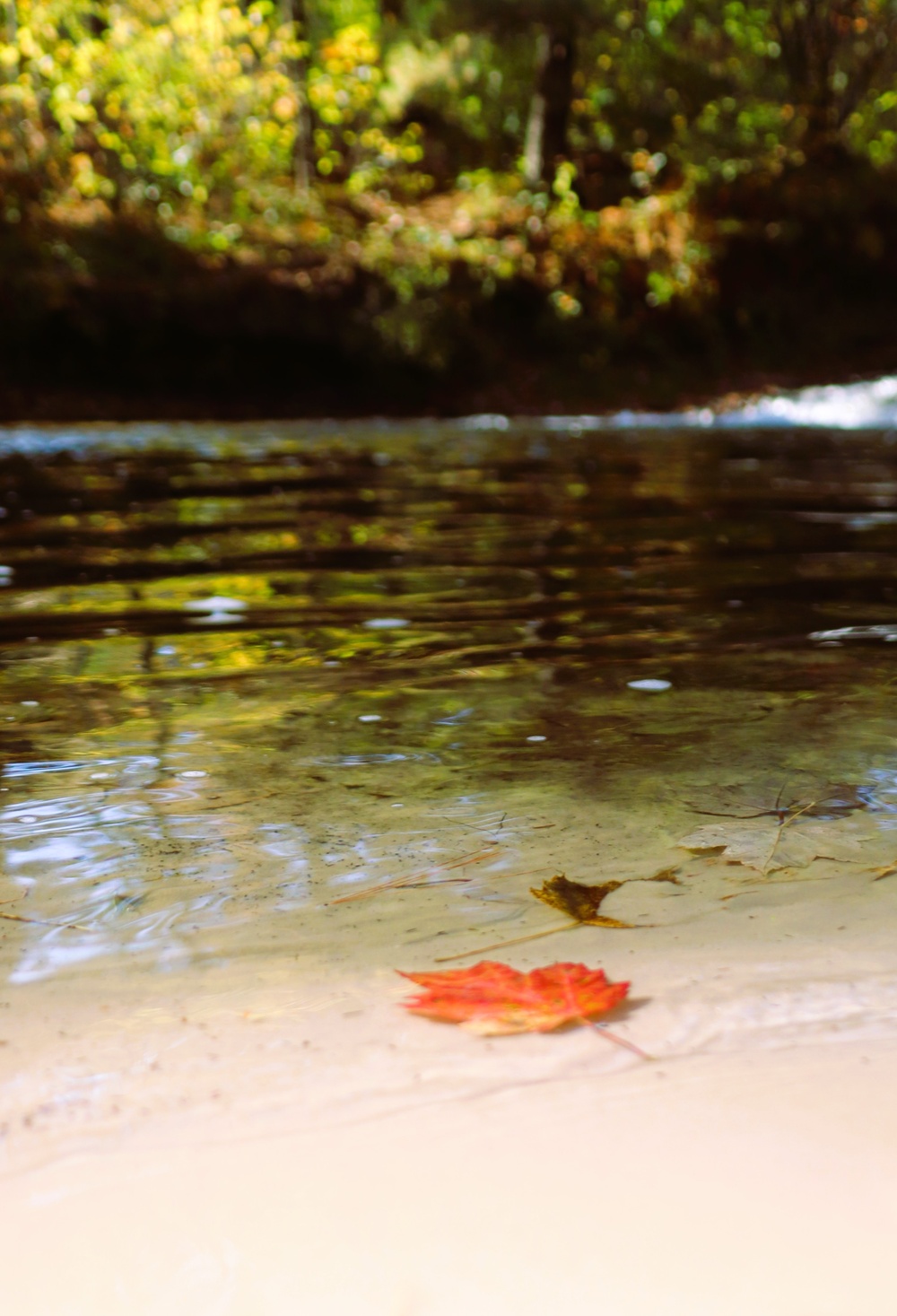 2025 early catch, release trout season opens Jan. 6 in Wisconsin, Fort McCoy