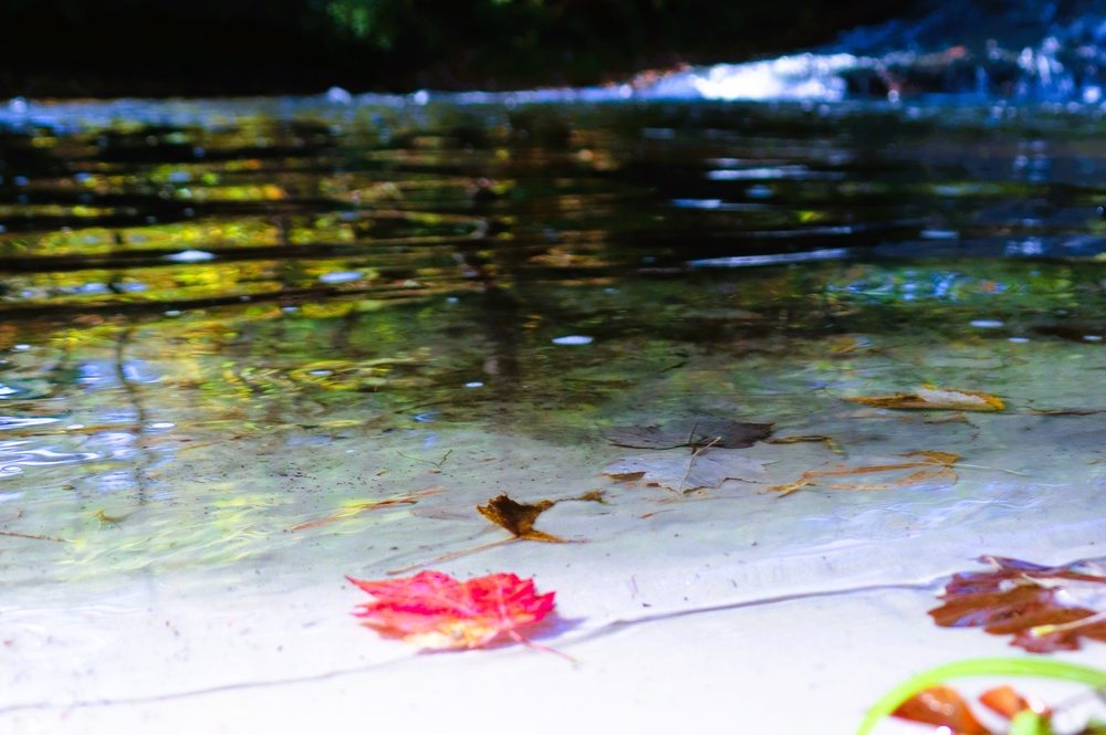 2025 early catch, release trout season opens Jan. 6 in Wisconsin, Fort McCoy