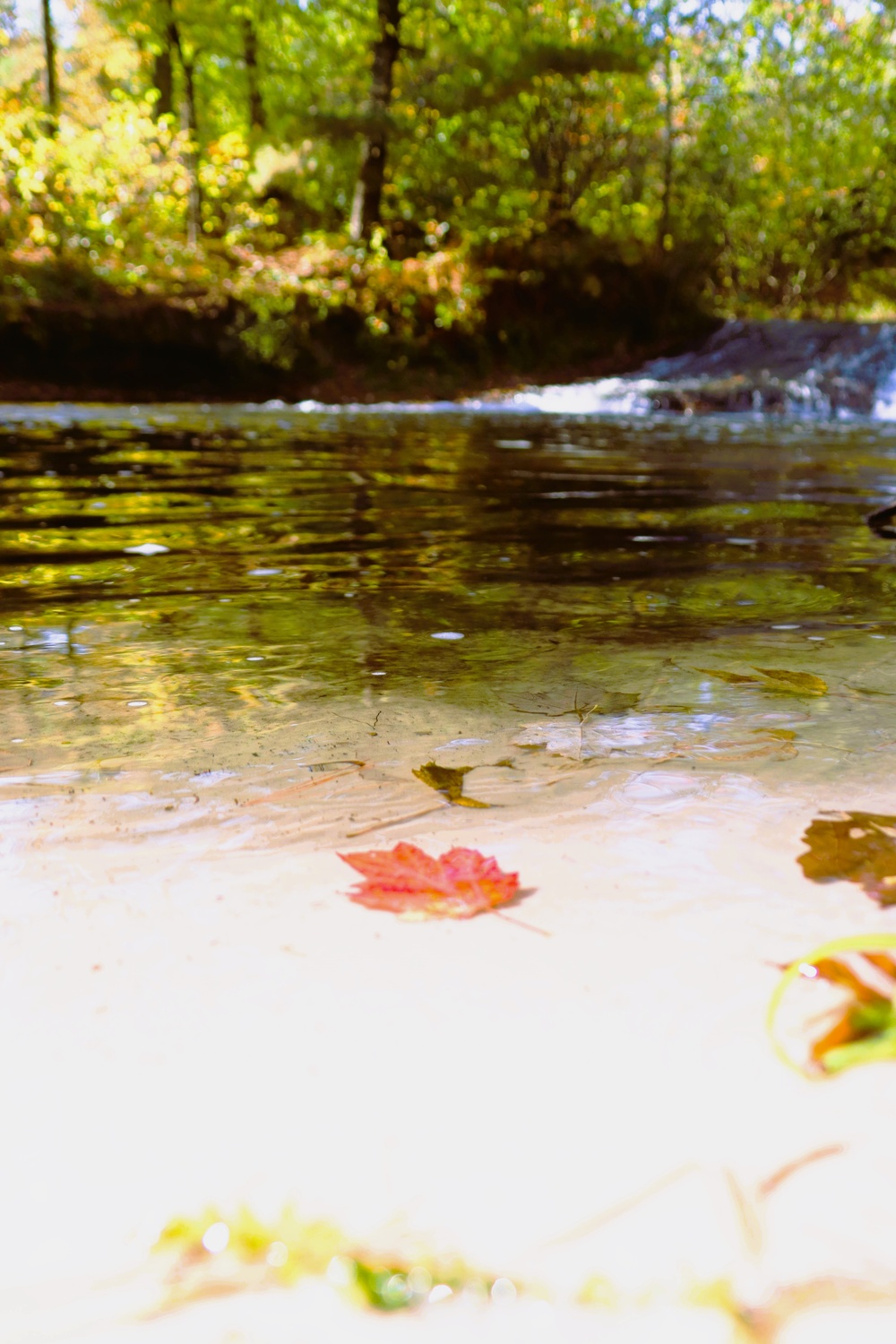 2025 early catch, release trout season opens Jan. 6 in Wisconsin, Fort McCoy