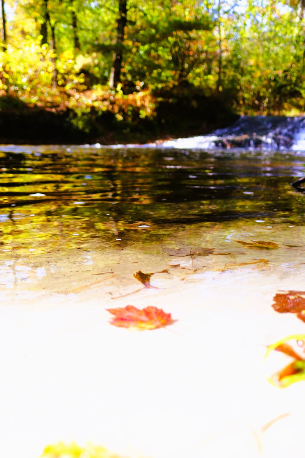 2025 early catch, release trout season opens Jan. 6 in Wisconsin, Fort McCoy