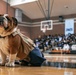 Marine Corps Band San Diego Performs at Salesian High School