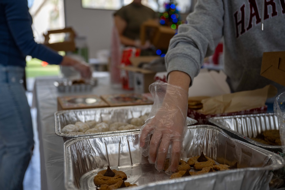 Operation Cookie Drop 2024