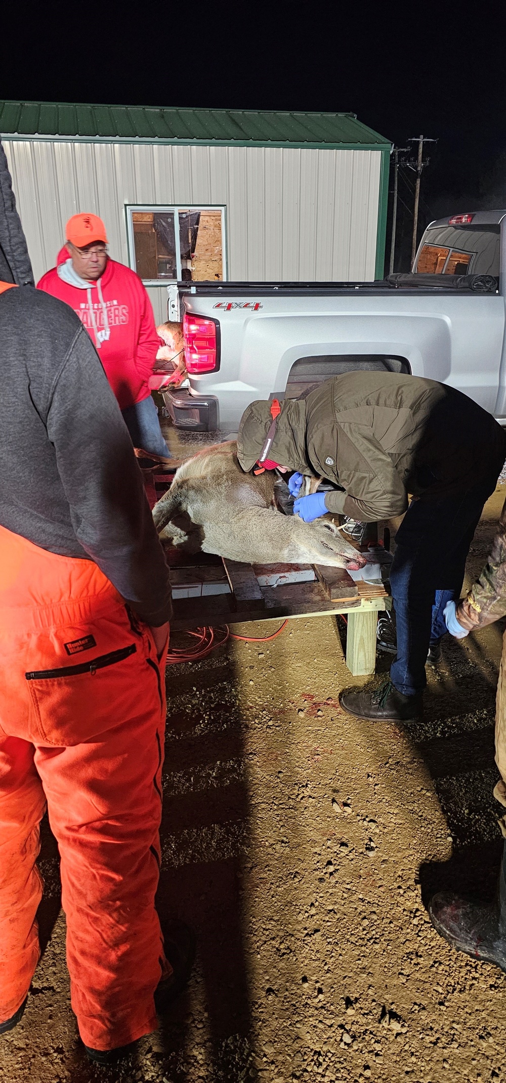 Nearly 400 deer harvested during 2024 Fort McCoy gun-deer season