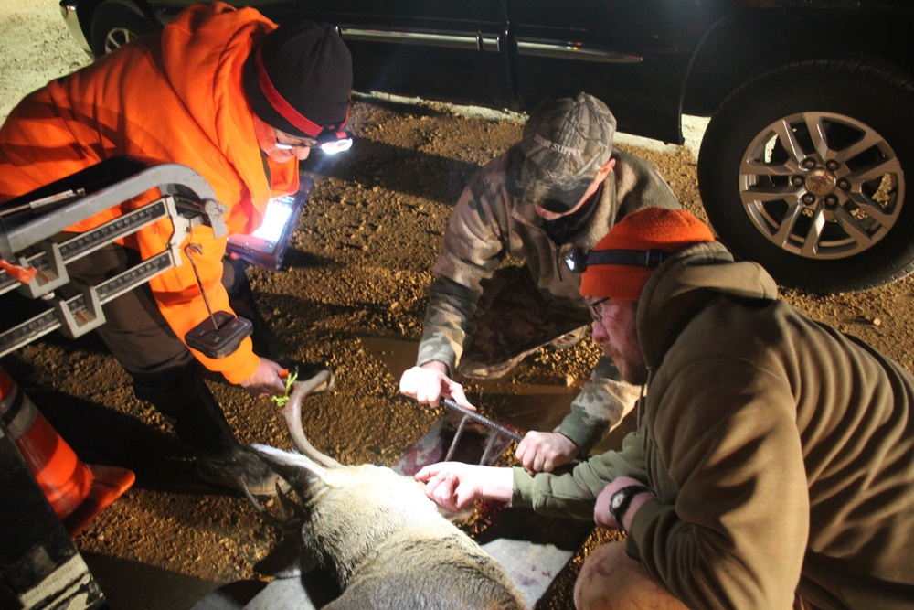 Nearly 400 deer harvested during 2024 Fort McCoy gun-deer season