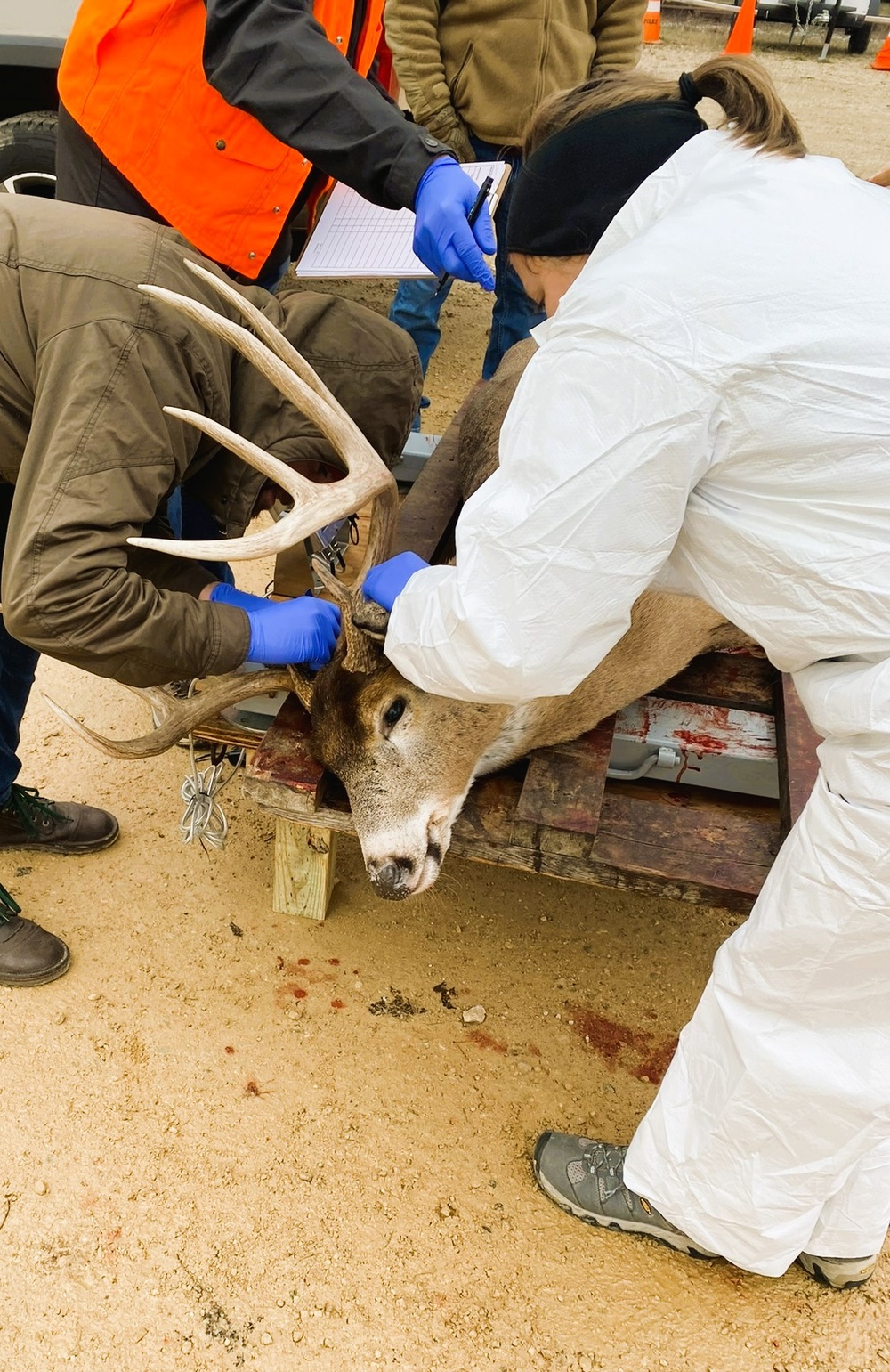 Nearly 400 deer harvested during 2024 Fort McCoy gun-deer season