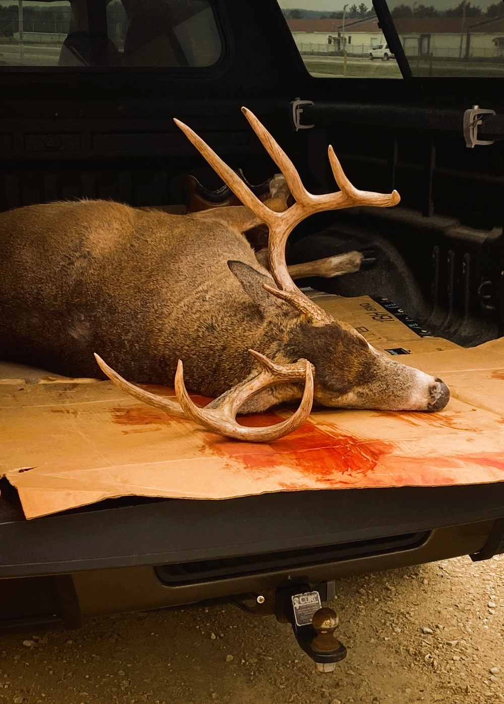 Nearly 400 deer harvested during 2024 Fort McCoy gun-deer season