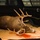 Nearly 400 deer harvested during 2024 Fort McCoy gun-deer season