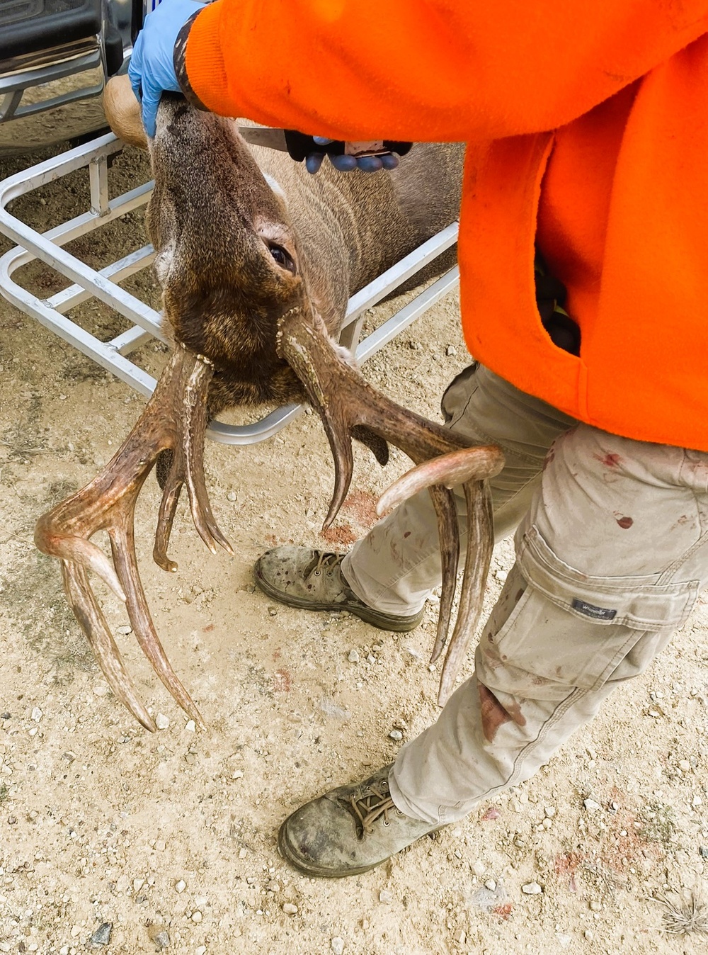 Nearly 400 deer harvested during 2024 Fort McCoy gun-deer season