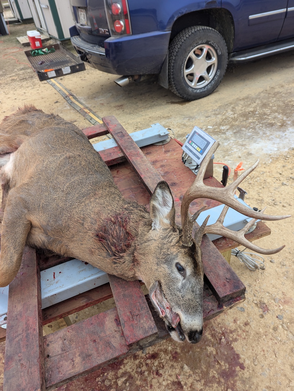 Nearly 400 deer harvested during 2024 Fort McCoy gun-deer season