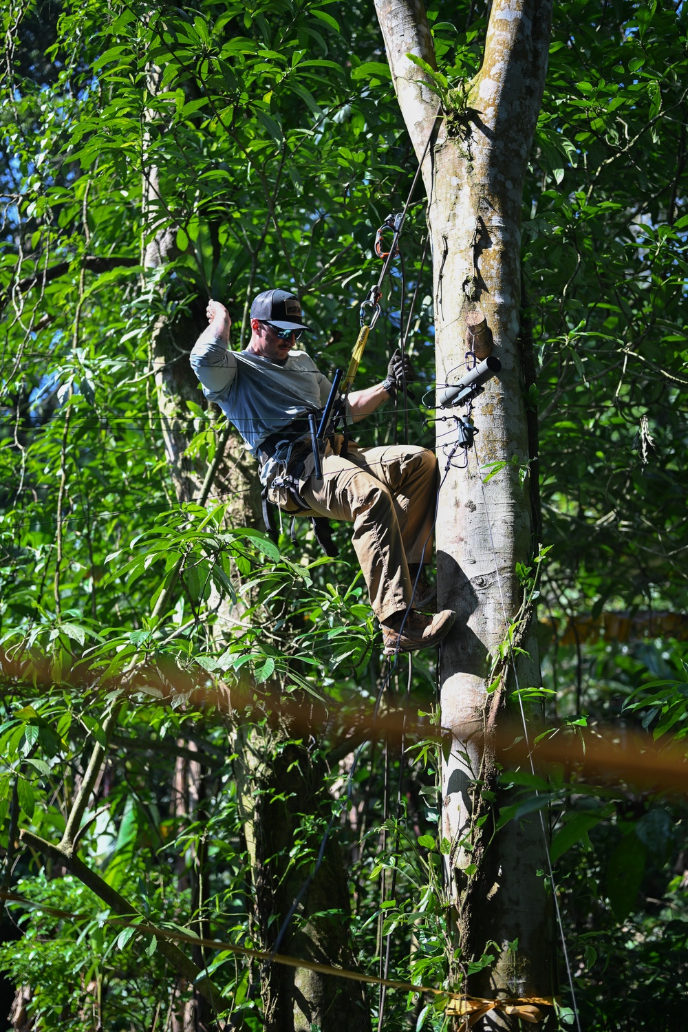 25-1VN establishes communications