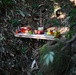 DPAA, VNOSMP bless recovery site before excavation