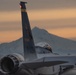 142nd Wing Commander's Fini Flight