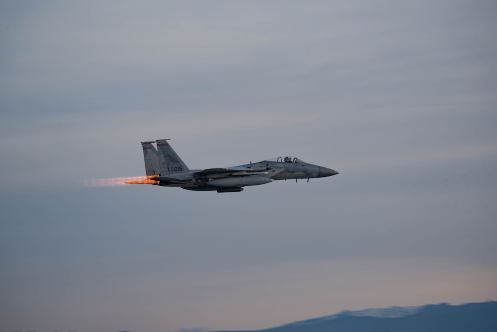 142nd Wing Commander's Fini Flight