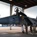 142nd Wing Commander's Fini Flight