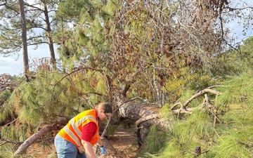 Hurricane Helene Response