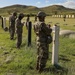 101st Troop Command Conducts Marksmanship Qualification at Camp Santiago Joint Training Center