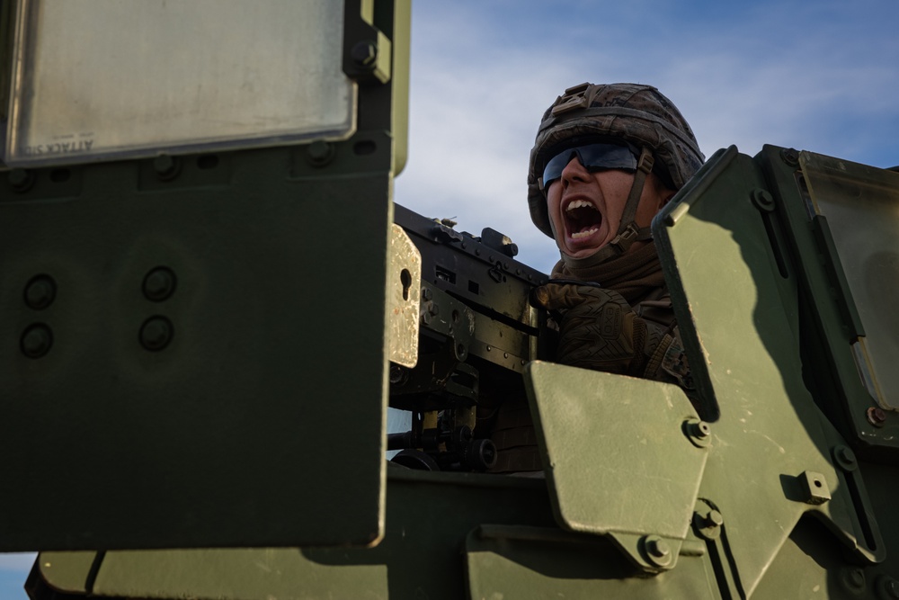 ARTP 24.3 | 12th LLB Executes a Mounted Machine Gun Range