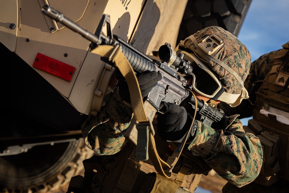 ARTP 24.3 | 12th LLB Executes a Mounted Machine Gun Range