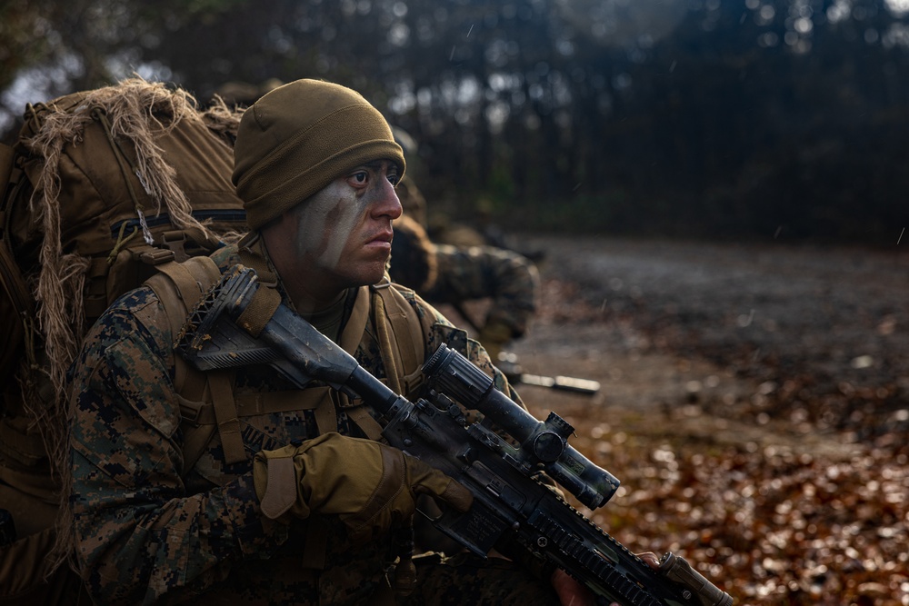 ARTP 24.3 | U.S. Marines with 4th Marine Regiment Patrol