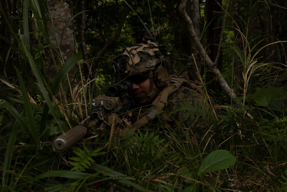 Joker Co. Conducts Helo Raid Exercise