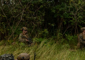 BLT 2/4 Conducts Raid Exercise